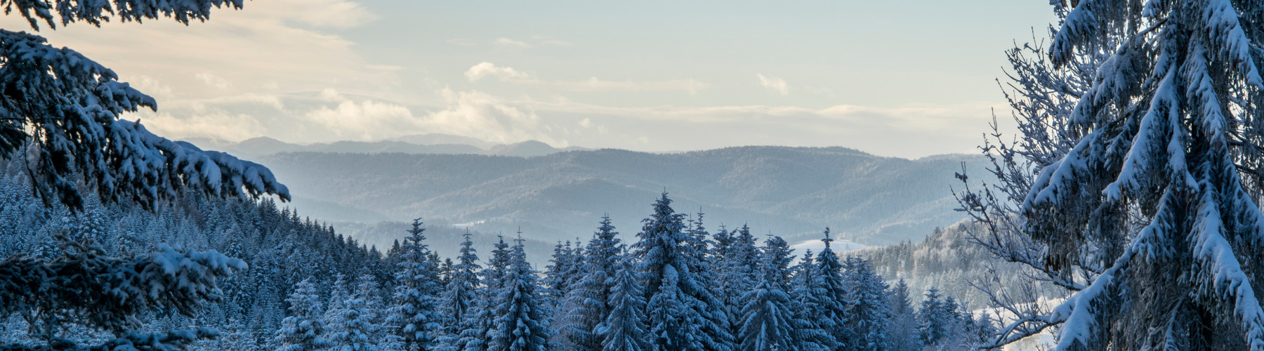 JIBE JAHA: Dobrodružství, které vám změní pohled na českou krajinu i sebe sama