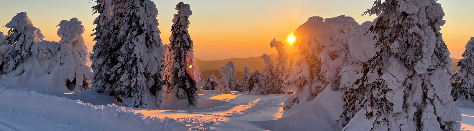 Česká Aljaška na JibeJaha aneb jak to dopadlo