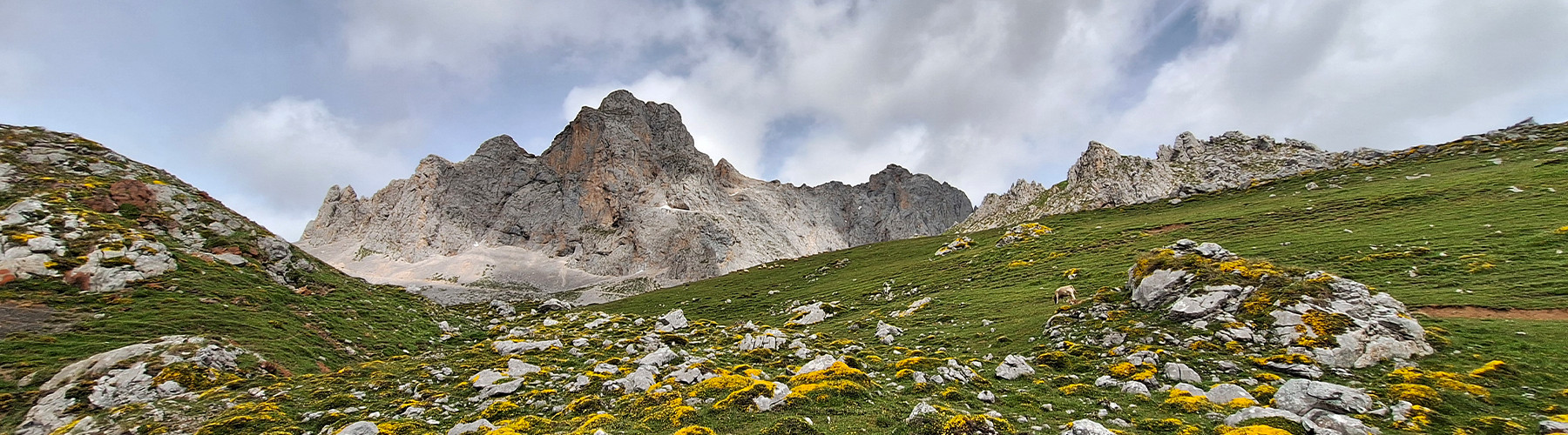 Můj pětihodinový trailový očistec v Alpách