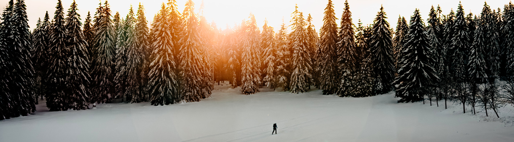 Zažij JibeJaha na vlastní kůži